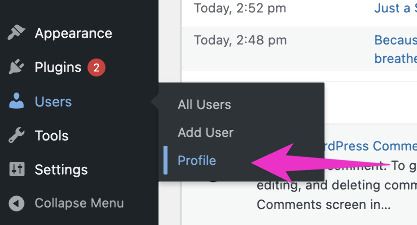 WordPress admin sidebar with Users menu expanded and Profile highlighted