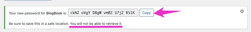 Generated password with Copy button and warning to save it